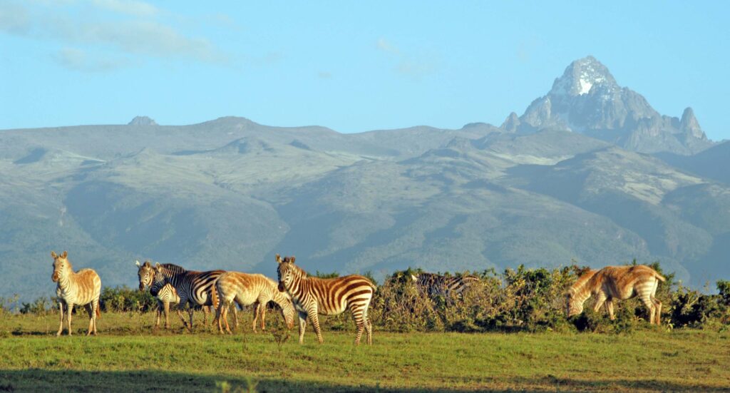 Mount Kenya National Park in Kenya