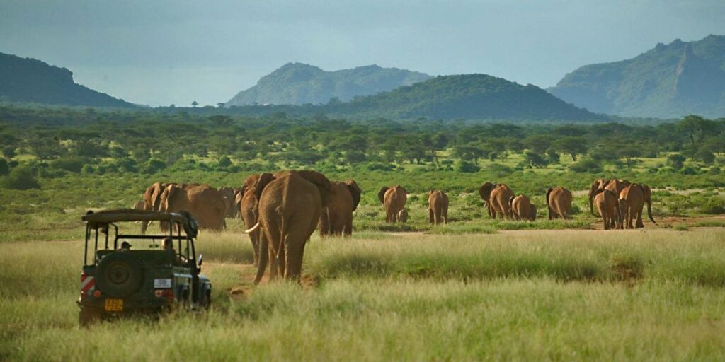 Samburu National Reserve in Kenya