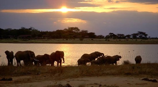 Tsavo East and Tsavo West National Parks in Kenya
